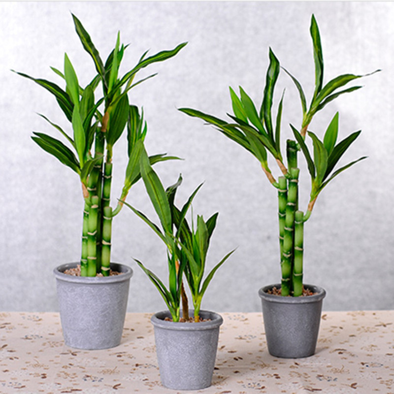 New 40cm Artificial Lucky Bamb - Bonsai Garden Bench 评论和价格